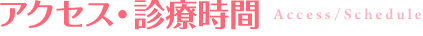 アクセス・診療時間 access / schedule